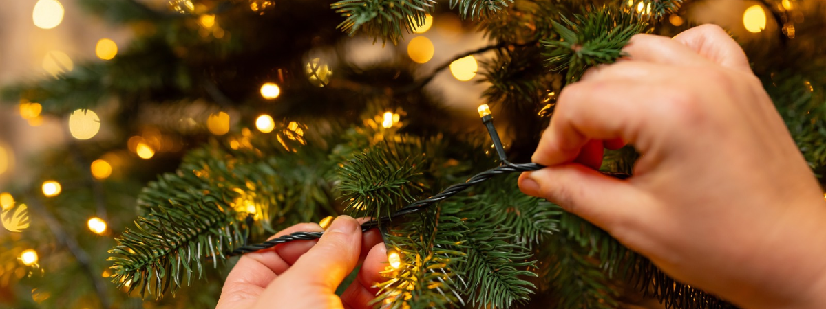 Kerstverlichting in de boom | KoopKerstverlichting.nl Kerstverlichting in de boom | KoopKerstverlichting.nl