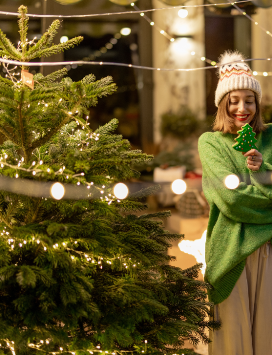 Kerstverlichting buiten | KoopKerstverlichting.nl