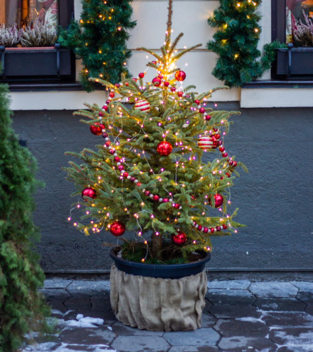 Kerstboomverlichting buiten of binnen ophangen? Vul jouw winkelmandje!