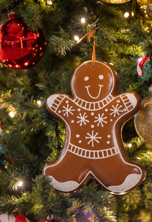 Keuken kersthangers kopen doe je op KoopKerstverlichting.nl!