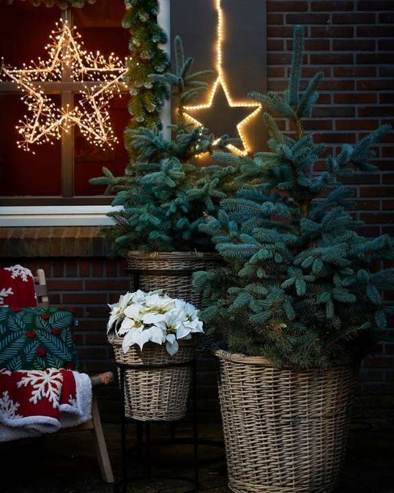 Kerstverlichting buiten of binnen ophangen? Vul jouw winkelmandje!