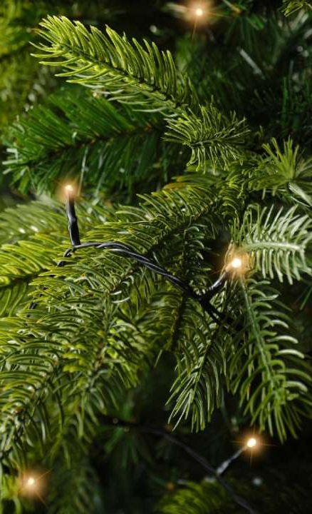 Rice Lights Lumineo kopen? | KoopKerstverlichting.nl