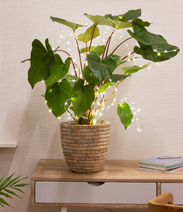 Micro kerstboomverlichting voor je plant kopen? | KoopKerstverlichting.nl