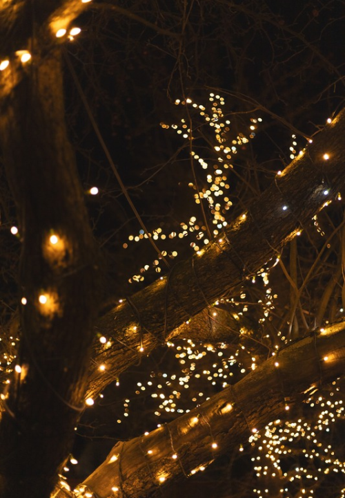 Strengverlichting voor kerst kopen doe je op KoopKerstverlichting.nl! Strengverlichting voor kerst kopen doe je op KoopKerstverlichting.nl!