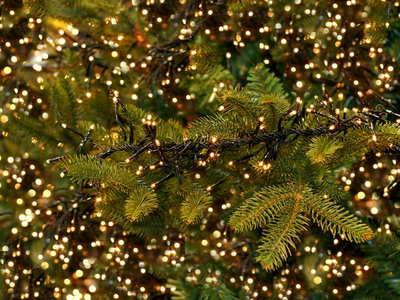 Kerstverlichting in de boom: hoeveel lampjes heb je nodig?