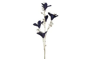 Bauhinia 84 cm blauw