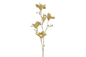 Bauhinia 84 cm geel