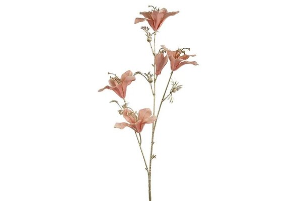 Bauhinia 84 cm roze