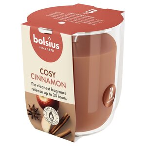 Bolsius geurglas true scents apple cinnamon S