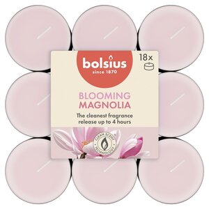 Bolsius geurtheelicht true scents magnolia 18 stuks