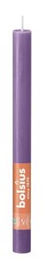 Bolsius huishoudkaars rustiek 27 cm helder violet