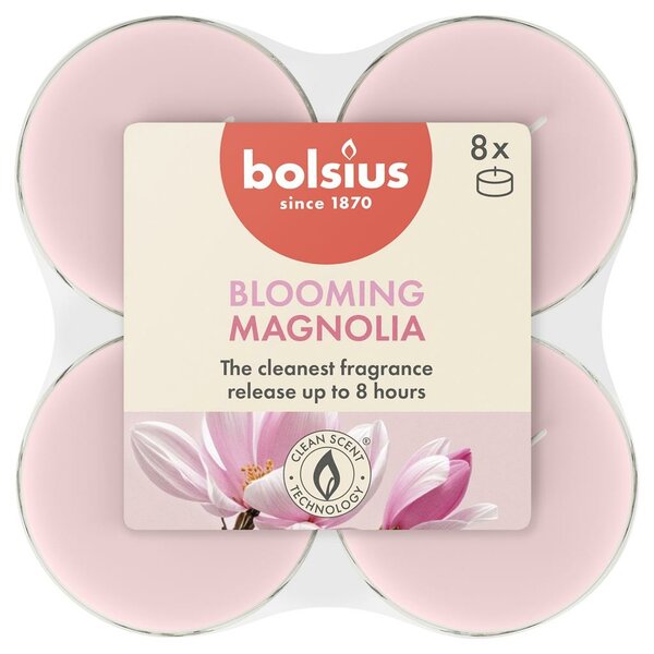 Bolsius maxilicht true scents magnolia 8 stuks