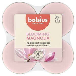 Bolsius maxilicht true scents magnolia 8 stuks