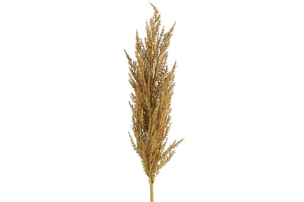 Cortaderia (pampas) 93 cm geel
