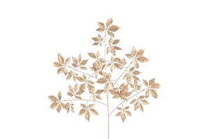 Countryfield Arachniodes 100 cm goud