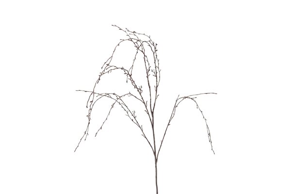 Countryfield betula 132 cm bruin