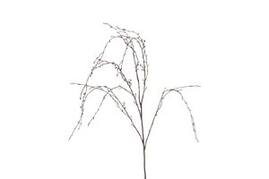 Countryfield betula 132 cm bruin