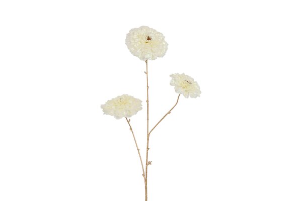 Countryfield calendula vivaldi 78 cm creme