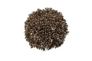 Countryfield deco bol eupatorium 11 cm bruin