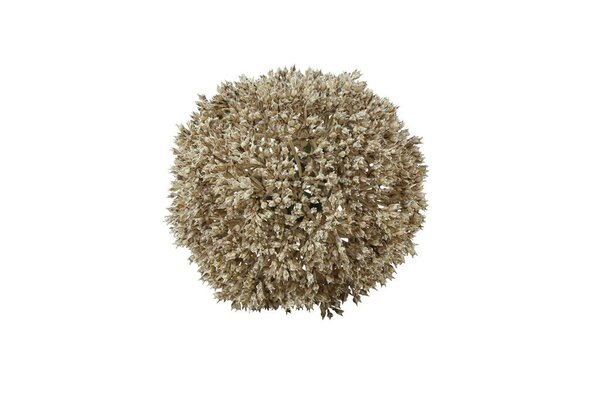 Countryfield deco bol eupatorium 11 cm creme