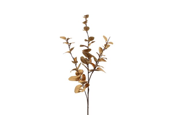 Countryfield eucalyptus cin 74 cm goud