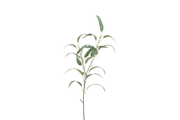 Countryfield Eucalyptus steel 90 cm wit