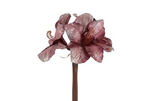 Countryfield kunstbloem amaryllis 57 cm roze