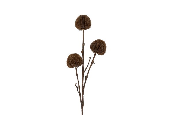 Countryfield kunstbloem banksia 89 cm bruin