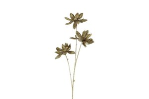 Countryfield magnolia steel 81 cm groen / goud