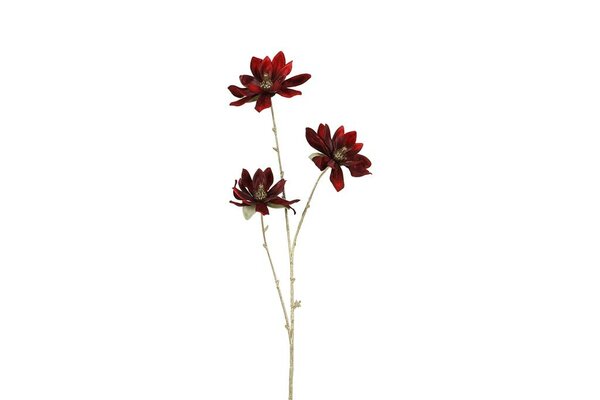 Countryfield magnolia steel 81 cm rood / goud
