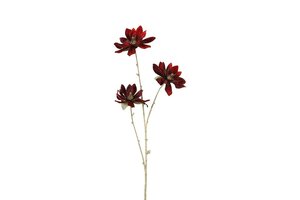 Countryfield magnolia steel 81 cm rood / goud