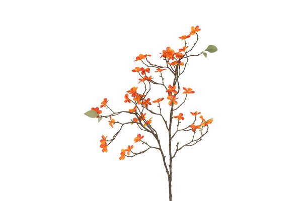 Countryfield malus 86 cm oranje