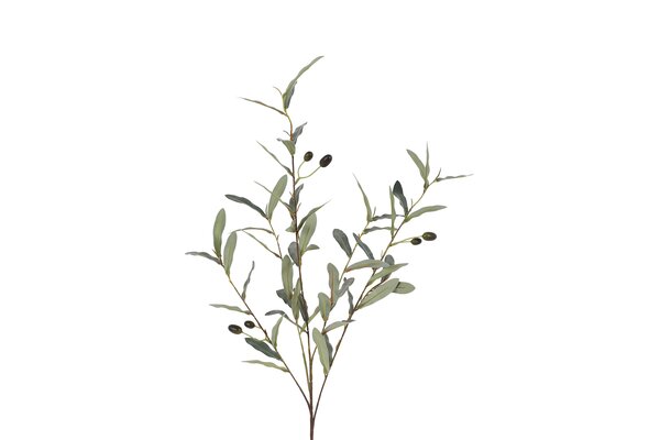 Countryfield olive 105 cm groen