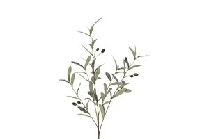 Countryfield olive 105 cm groen