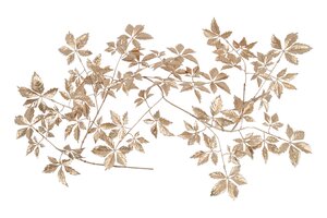 Countryfield parthenocissus 170 cm goud