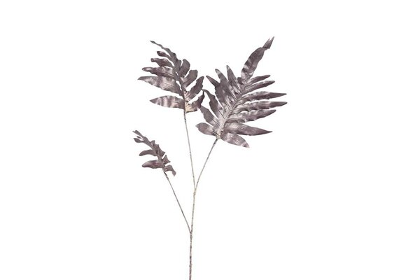 Countryfield Phlebodium steel 108 cm paars