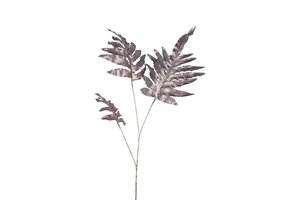 Countryfield Phlebodium steel 108 cm paars