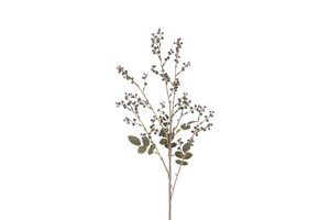 Countryfield phytolacca 87 cm paars
