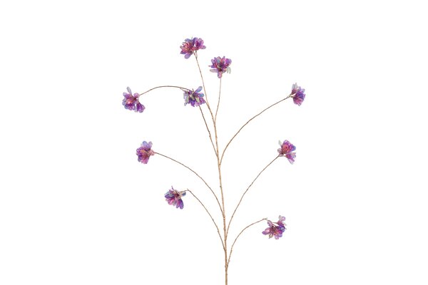 Countryfield plumeria 167 cm paars