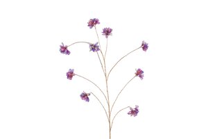 Countryfield plumeria 167 cm paars