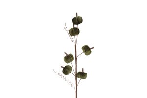 Countryfield pumpkin 50 cm groen