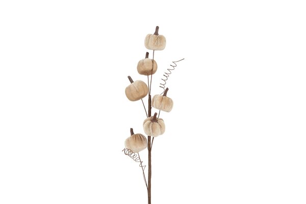 Countryfield pumpkin 50 cm taupe