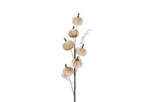 Countryfield pumpkin 50 cm taupe