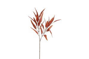 Countryfield Salix 84 cm bruin