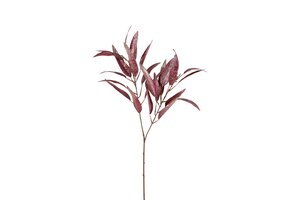 Countryfield Salix 84 cm roze