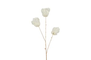 Countryfield tulp 85 cm creme