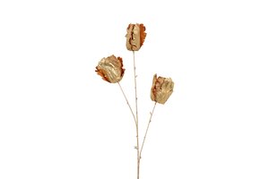 Countryfield tulp 85 cm goud