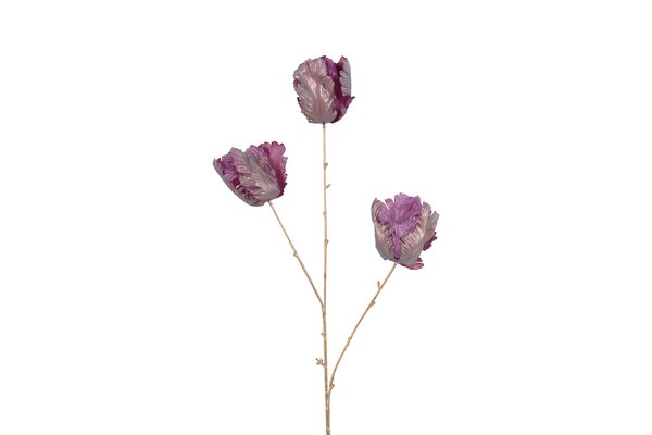 Countryfield tulp 85 cm paars