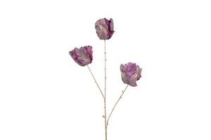 Countryfield tulp 85 cm paars