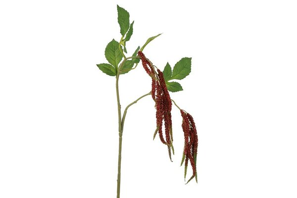 Countryfield zijden Amaranthus caudatus 91 cm roze